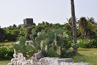 Ruïnes