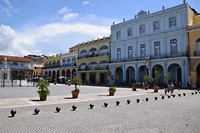 Havana