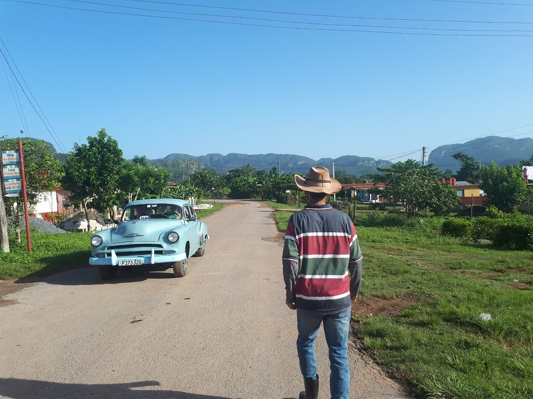 Viñales
