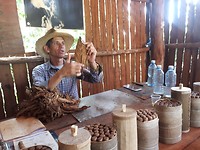 Bij de tabaksboer