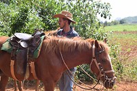 Viñales