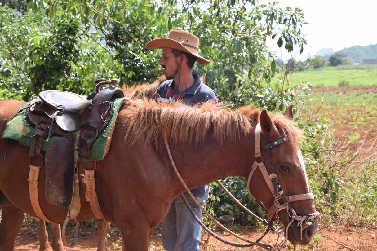 Viñales
