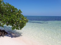 Cayo Jutías