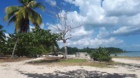 Playa Larga