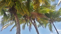 Playa Larga