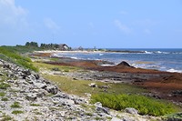 Cozumel