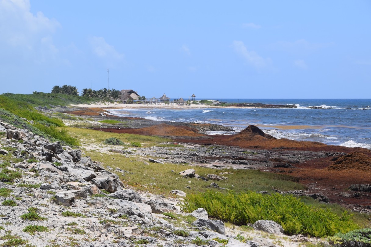 Cozumel