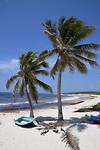 Cozumel