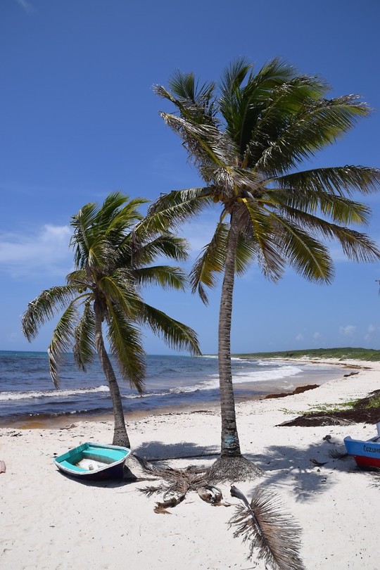 Cozumel