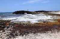 Cozumel