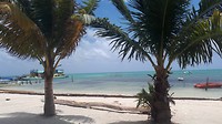 Caye Caulker