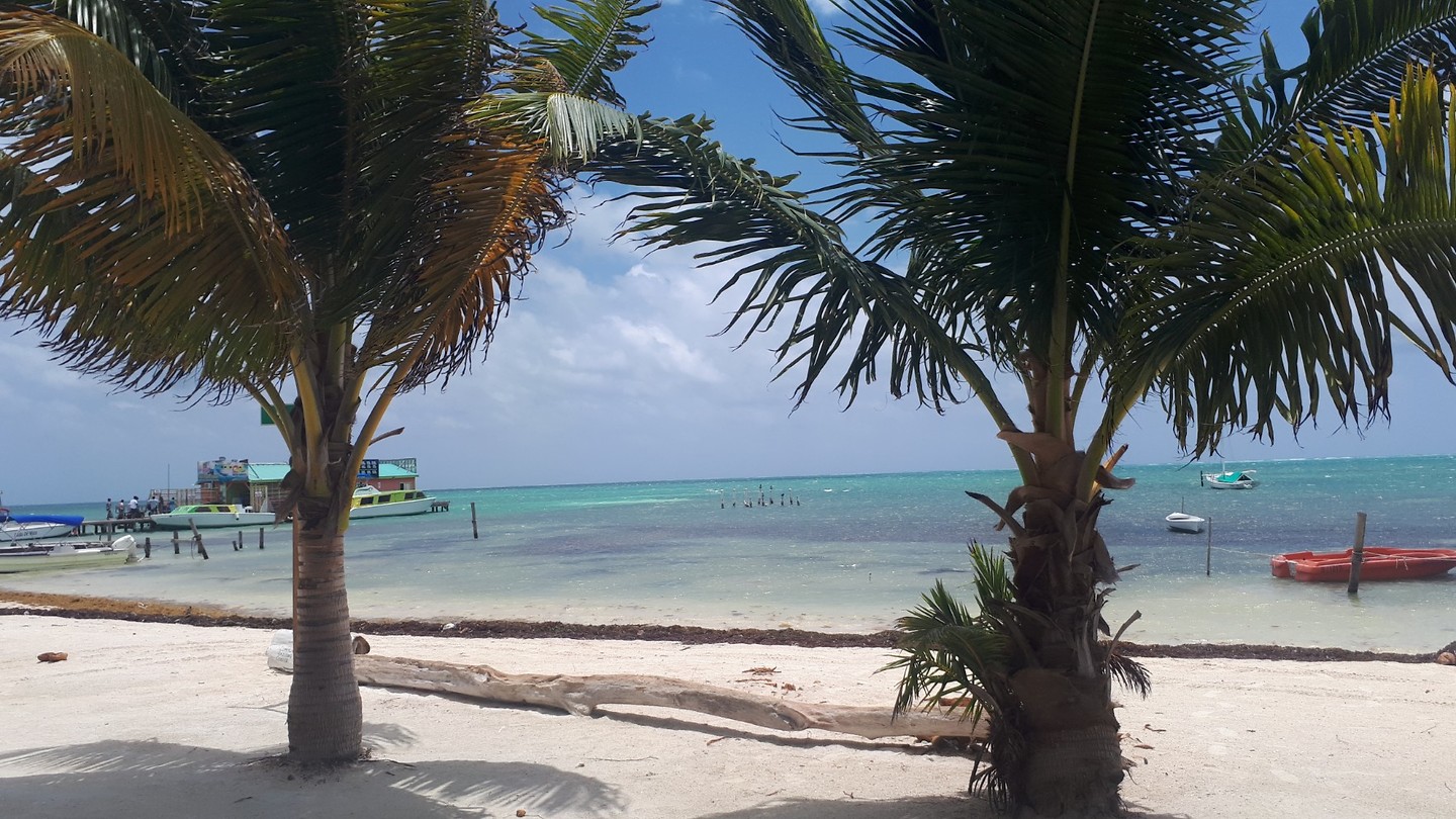 Caye Caulker