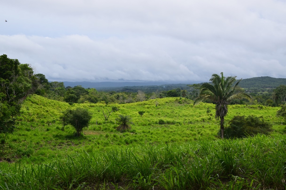 San Ignacio