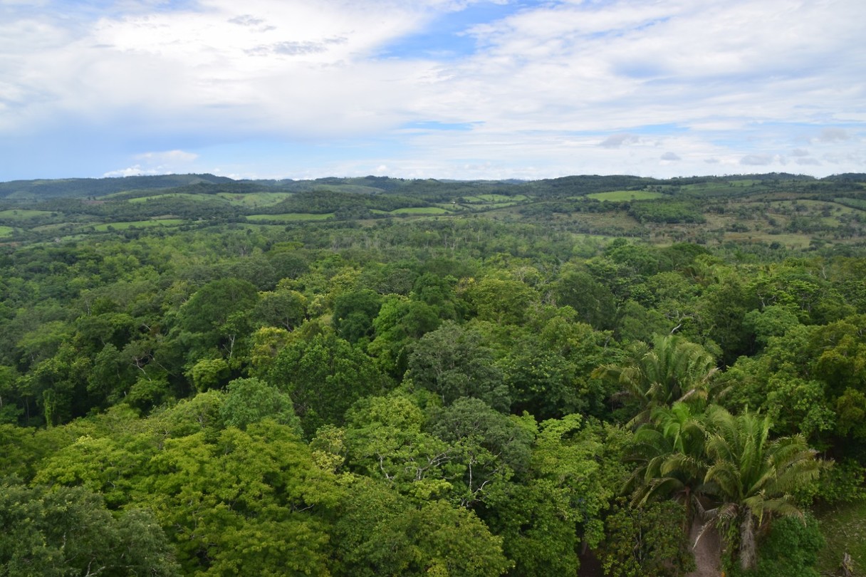 Xunantunich ruïnes