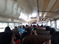 Chickenbus
