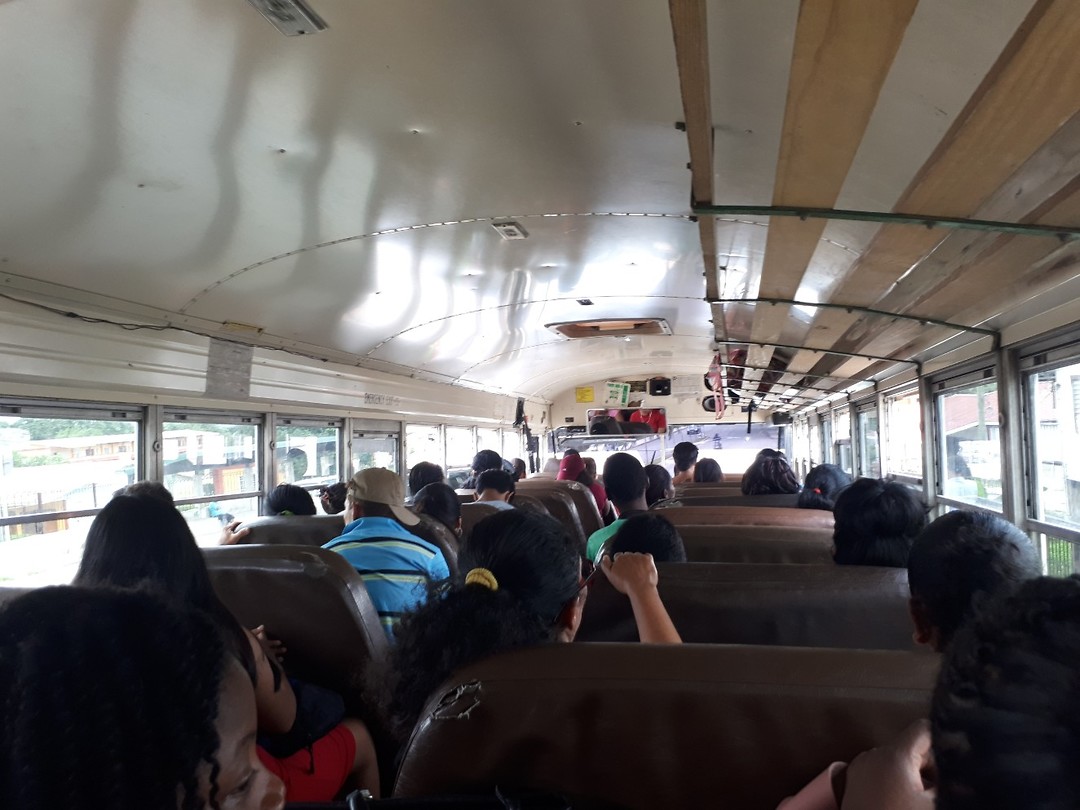 Chickenbus
