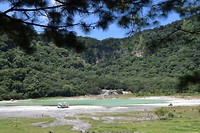 Alegría