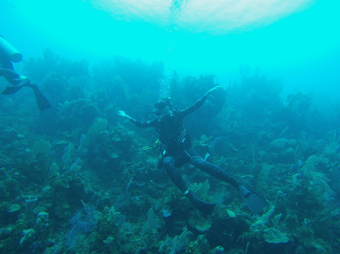 Als een vis in het water