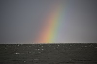 Regenboog