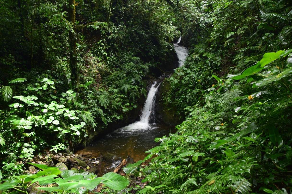 Waterval