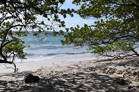Playa Flamingo