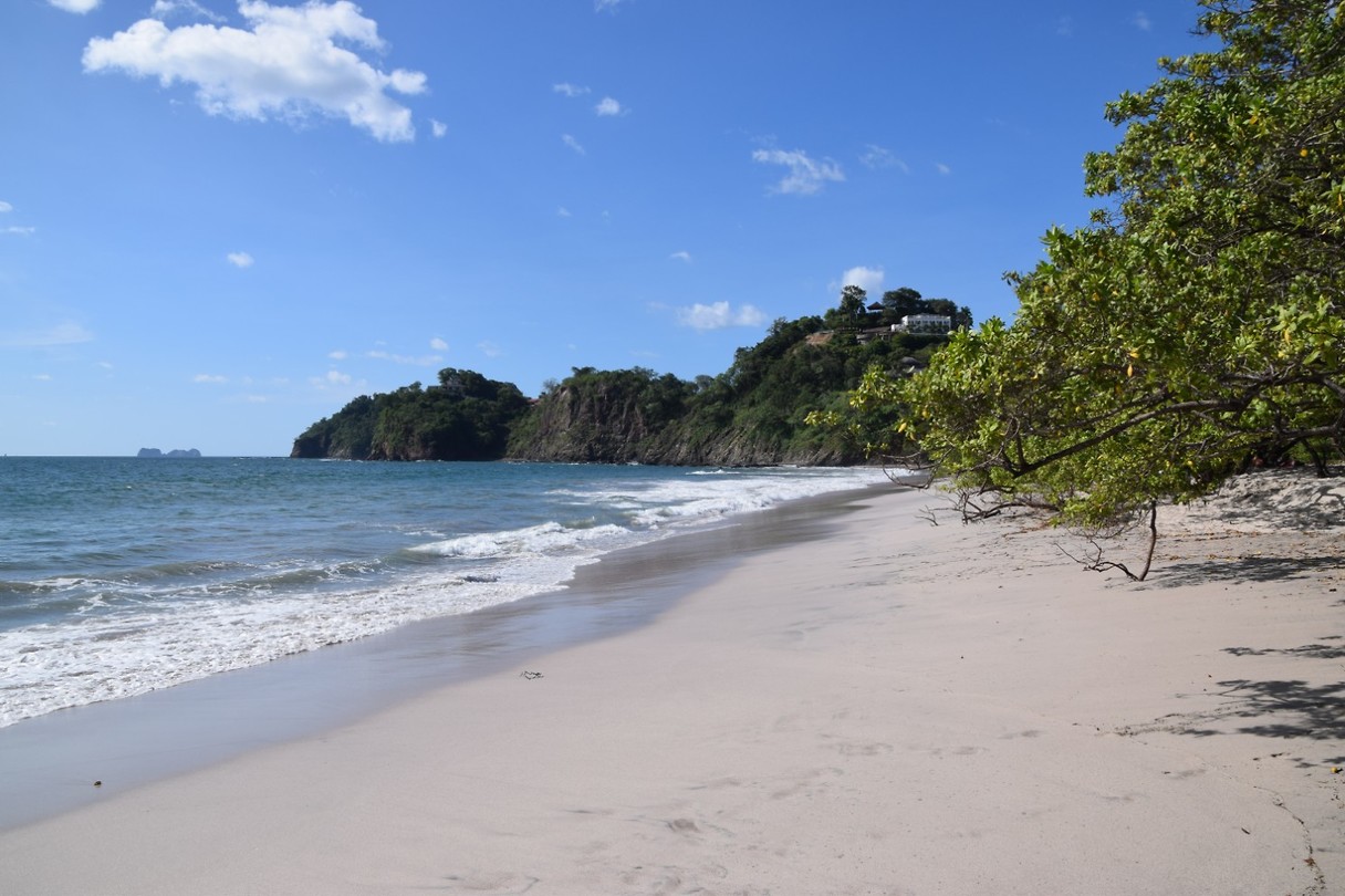 Playa Flamingo