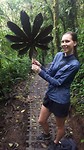 Groot blad