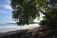 Cahuita National Park