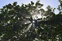 Cahuita National Park