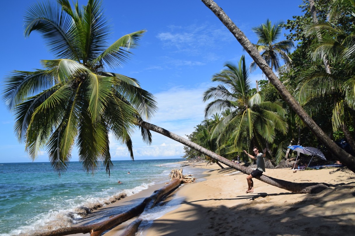 Punta Uva