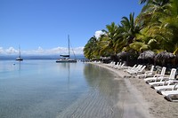 Starfish beach