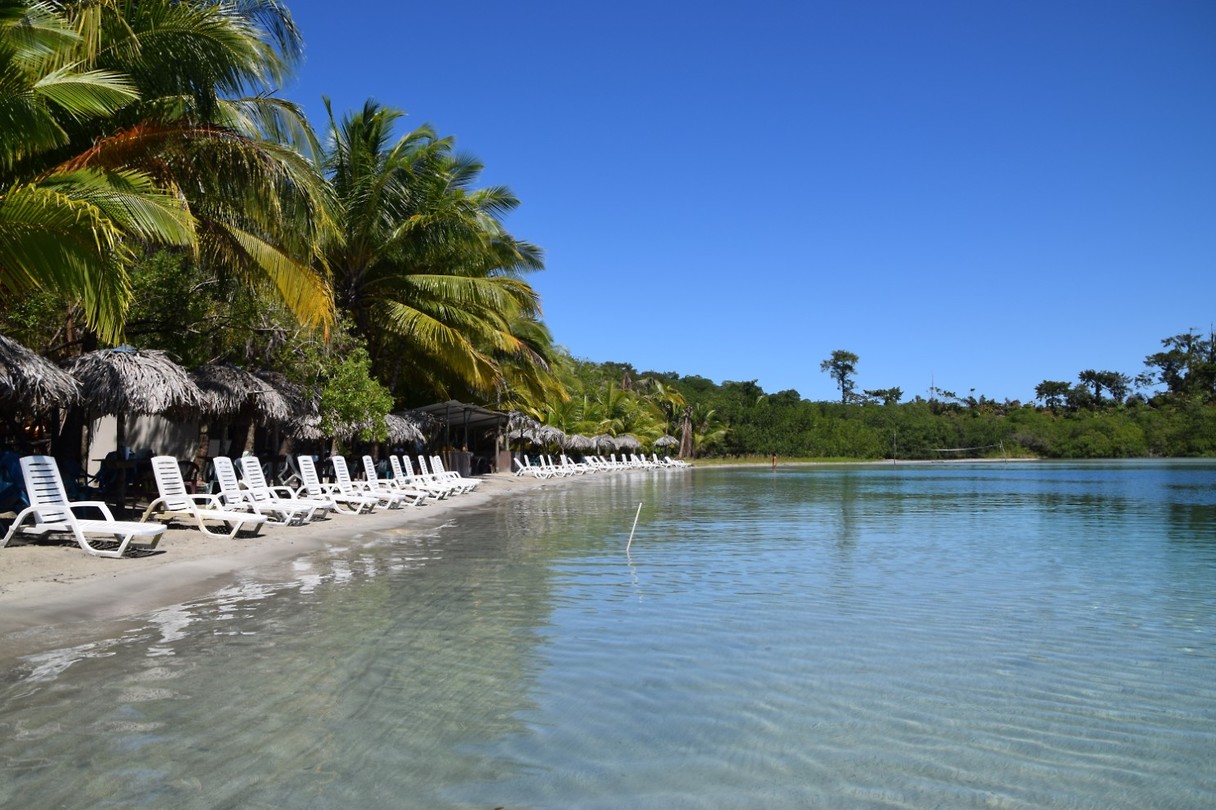 Starfish beach