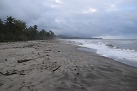 Playa Costeño