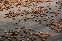 Koffiebonen