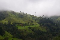 Spooky Cocora Valley