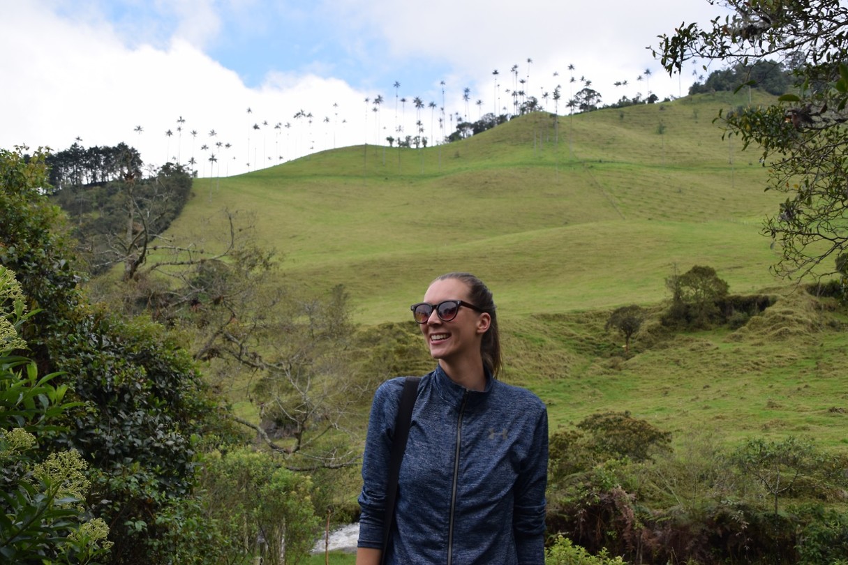 Cocora Valley