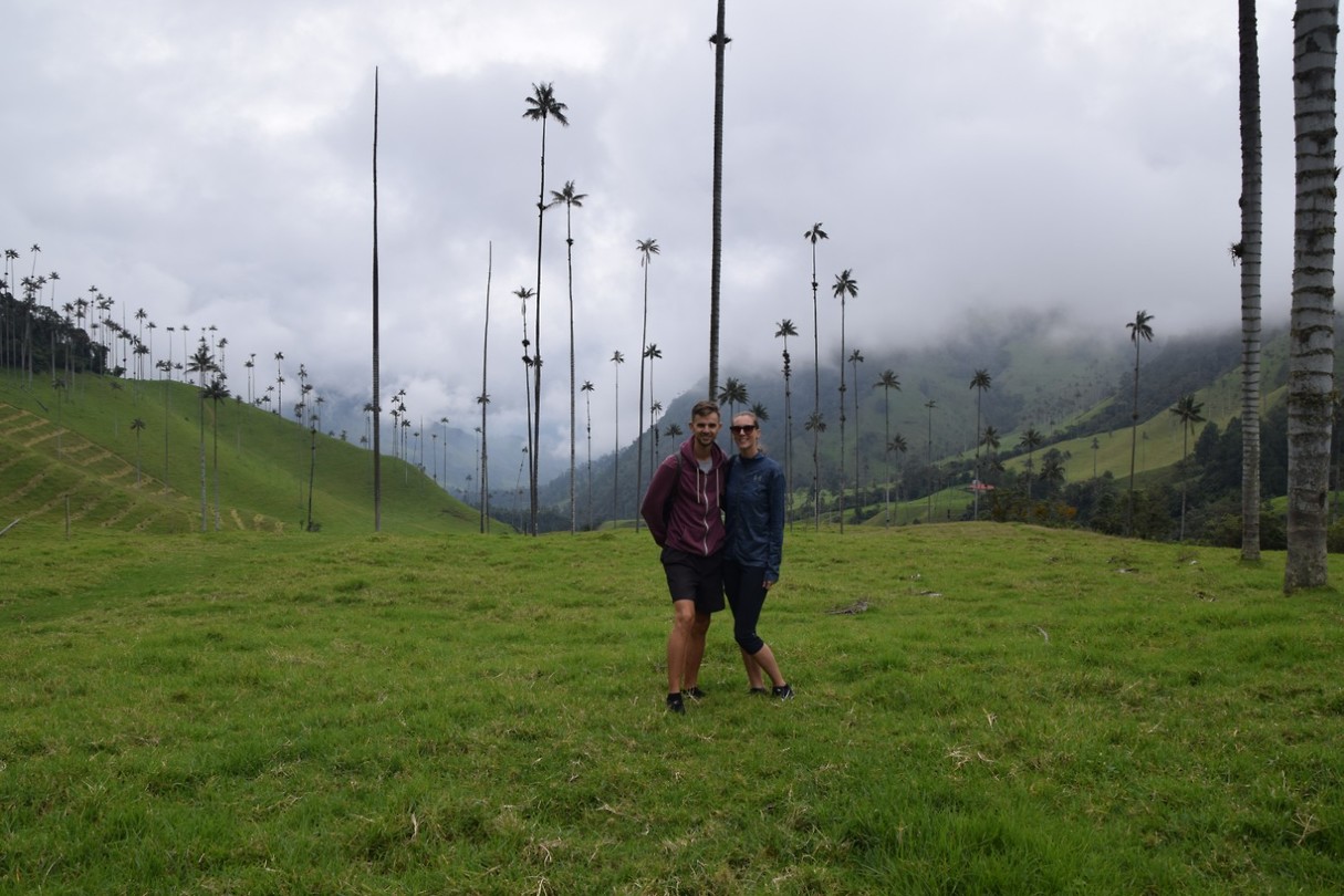 Cocora Valley