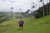Cocora Valley
