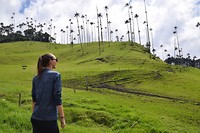 Cocora Valley
