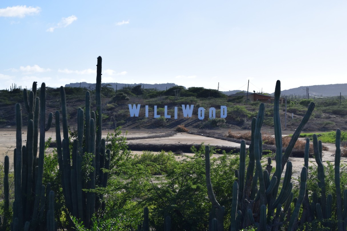 Williwood