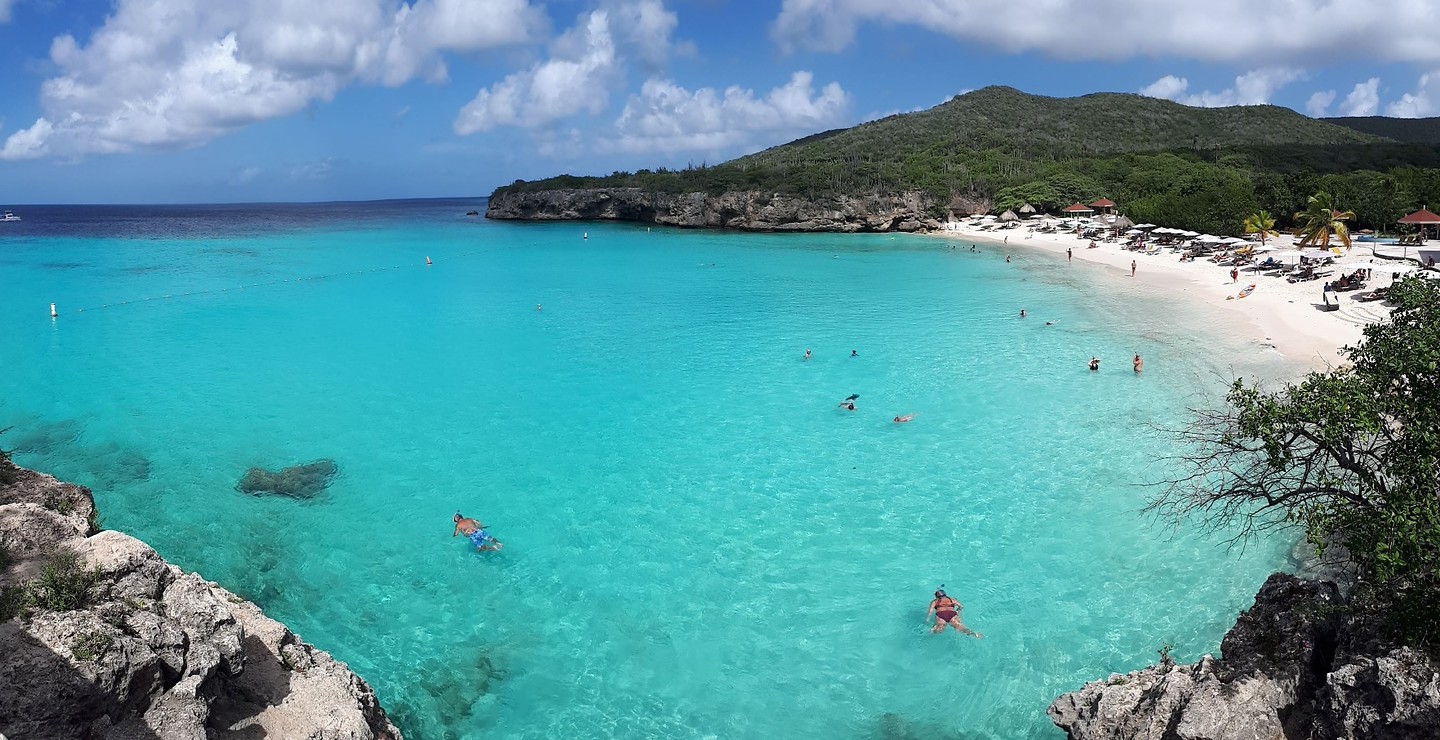 Grote Knip