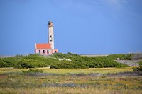 Vuurtoren