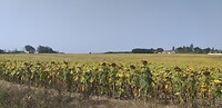 20200912_124304