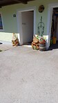 Pasen in Ehrwald Oostenrijk