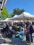 Riny op achtergrond markt
