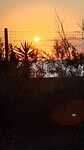 De ondergaande zon op Camping La Masseria