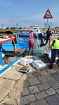 Vis verkopen op de kade