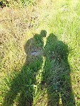 Liefde