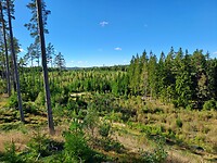 Uitzicht vanaf de heuvel Burseryd