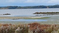 Foto van de wandeling vanuit de camperplaats Assens